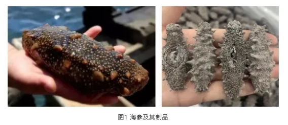 微信截圖_20241030140737.png