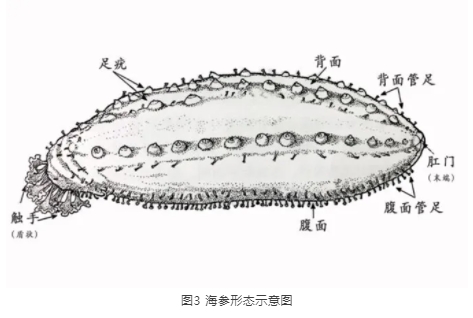 微信截圖_20241030141453.png