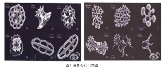 微信截圖_20241030141504.png